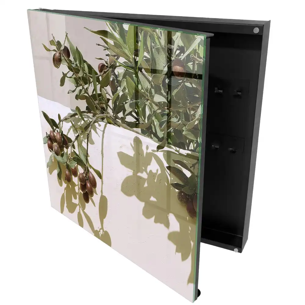 Armoire à clés branche d'olivier sur fond clair
