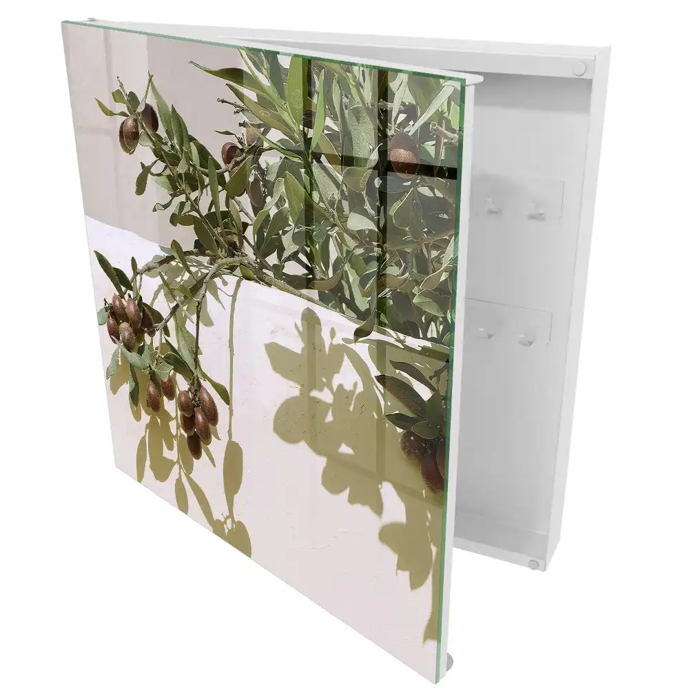 Armoire à clés branche d'olivier sur fond clair