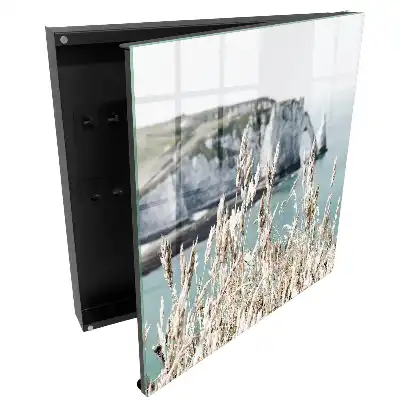 Armoire à clés un paysage de falaises dynamiques et d'herbes délicates