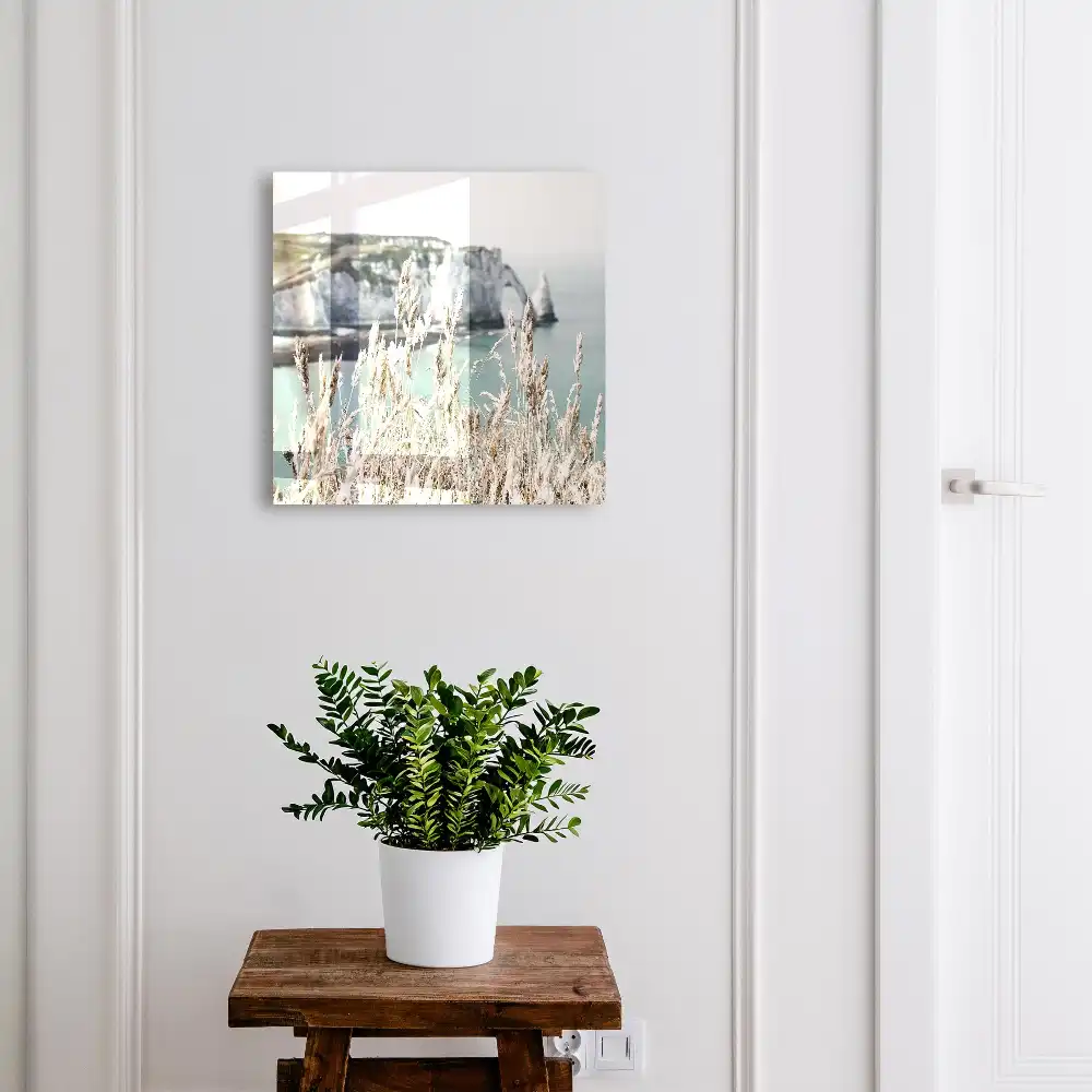 Armoire à clés un paysage de falaises dynamiques et d'herbes délicates