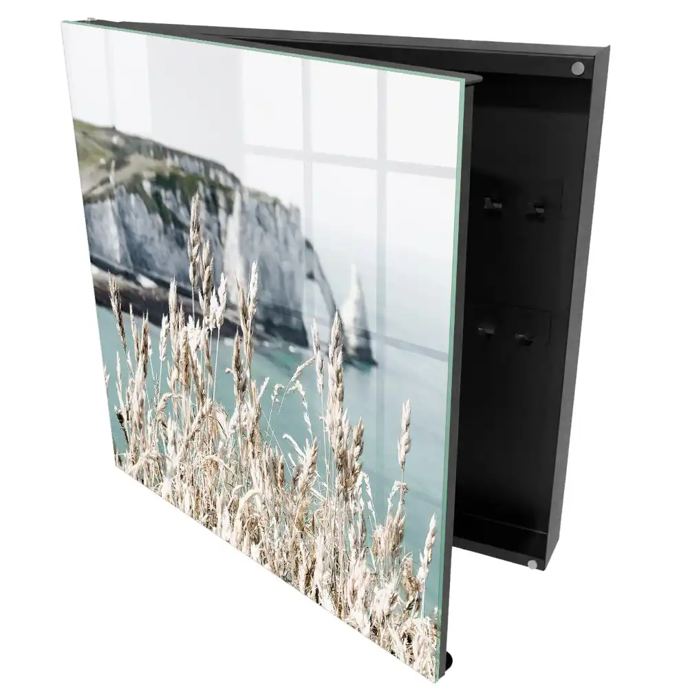 Armoire à clés un paysage de falaises dynamiques et d'herbes délicates