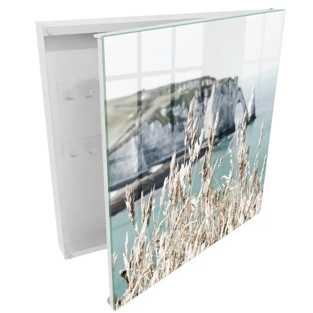 Armoire à clés un paysage de falaises dynamiques et d'herbes délicates