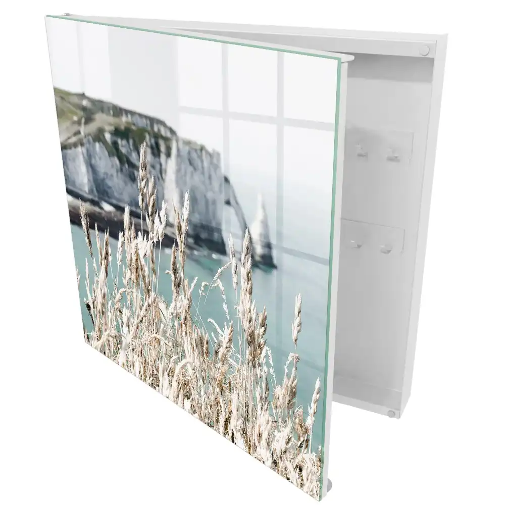 Armoire à clés un paysage de falaises dynamiques et d'herbes délicates