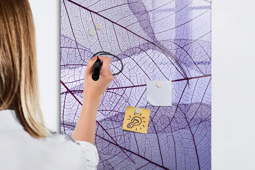 Tableau magnétique pour l'écriture de la structure de la feuille