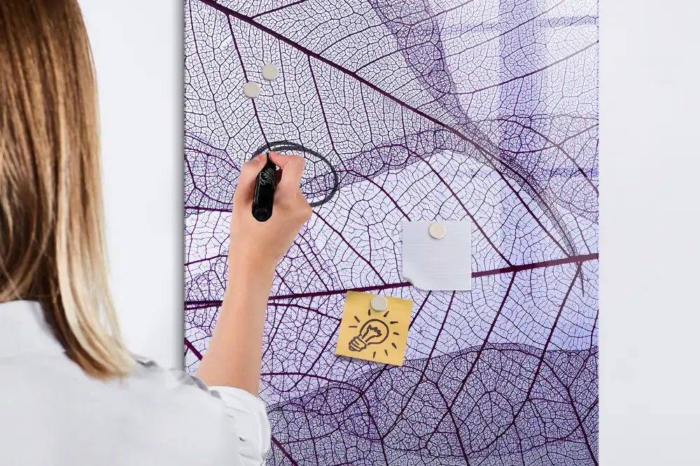 Tableau magnétique pour l'écriture de la structure de la feuille