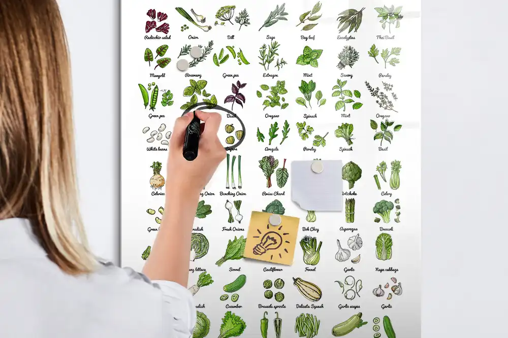 Tableau magnétique éducatif avec feutre sur le thème des légumes du jardin