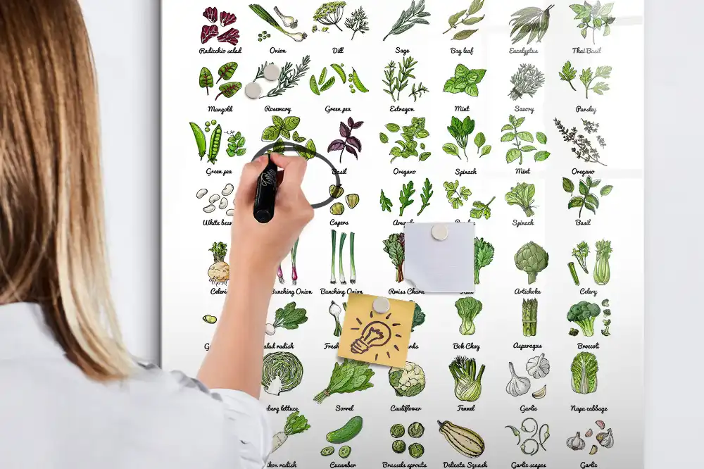 Tableau magnétique éducatif avec feutre sur le thème des légumes du jardin
