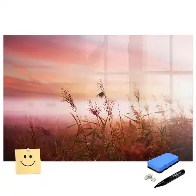 Tableau magnétique à dessiner Matin brumeux dans la forêt
