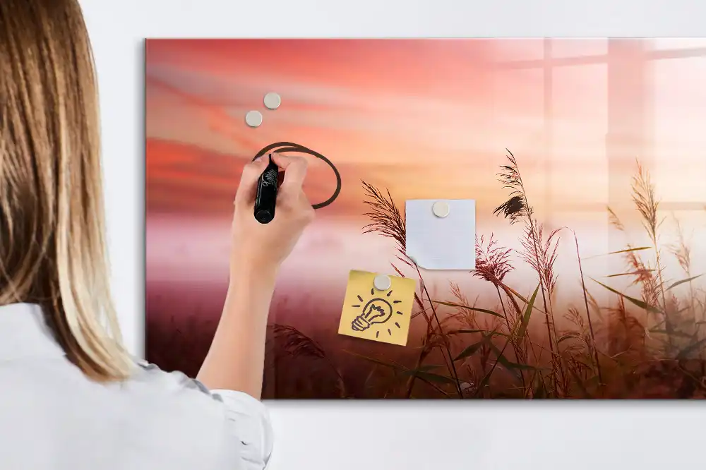 Tableau magnétique à dessiner Matin brumeux dans la forêt