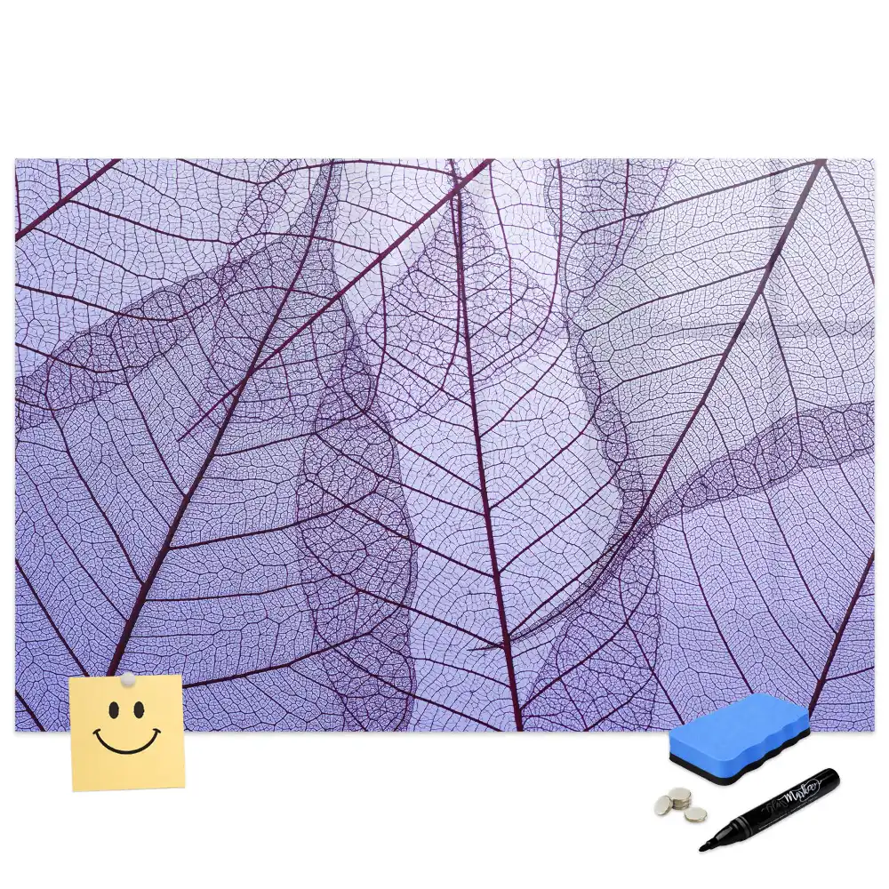 Tableau magnétique à dessiner feuilles dans la nature