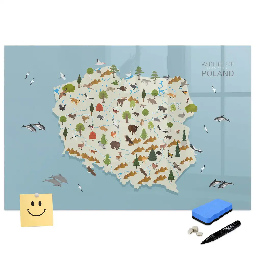 Tableau magnétique à dessiner illustré avec la carte de la Pologne et des animaux