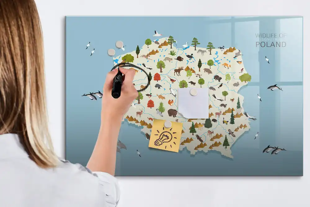 Tableau magnétique à dessiner illustré avec la carte de la Pologne et des animaux