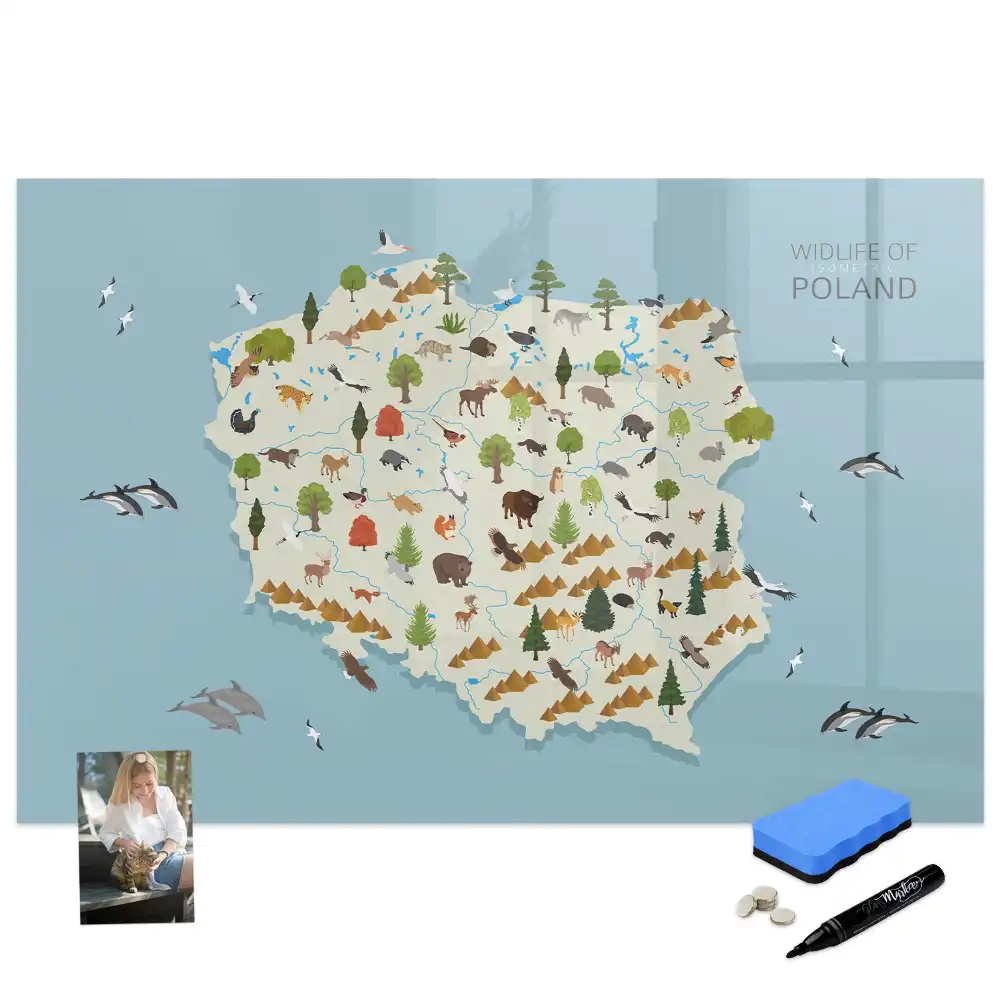 Tableau magnétique à dessiner illustré avec la carte de la Pologne et des animaux