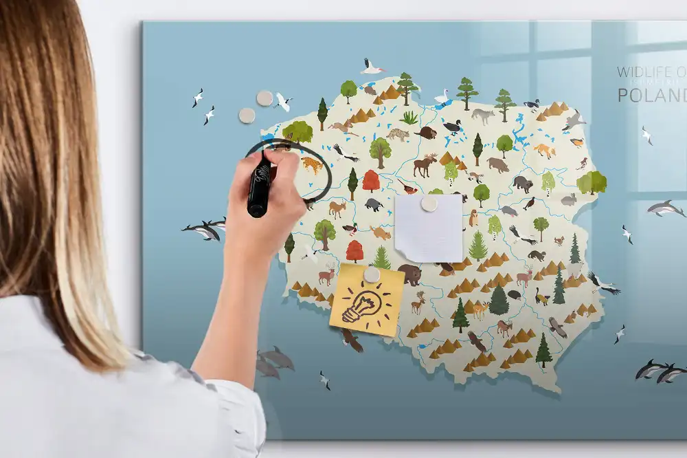Tableau magnétique à dessiner illustré avec la carte de la Pologne et des animaux
