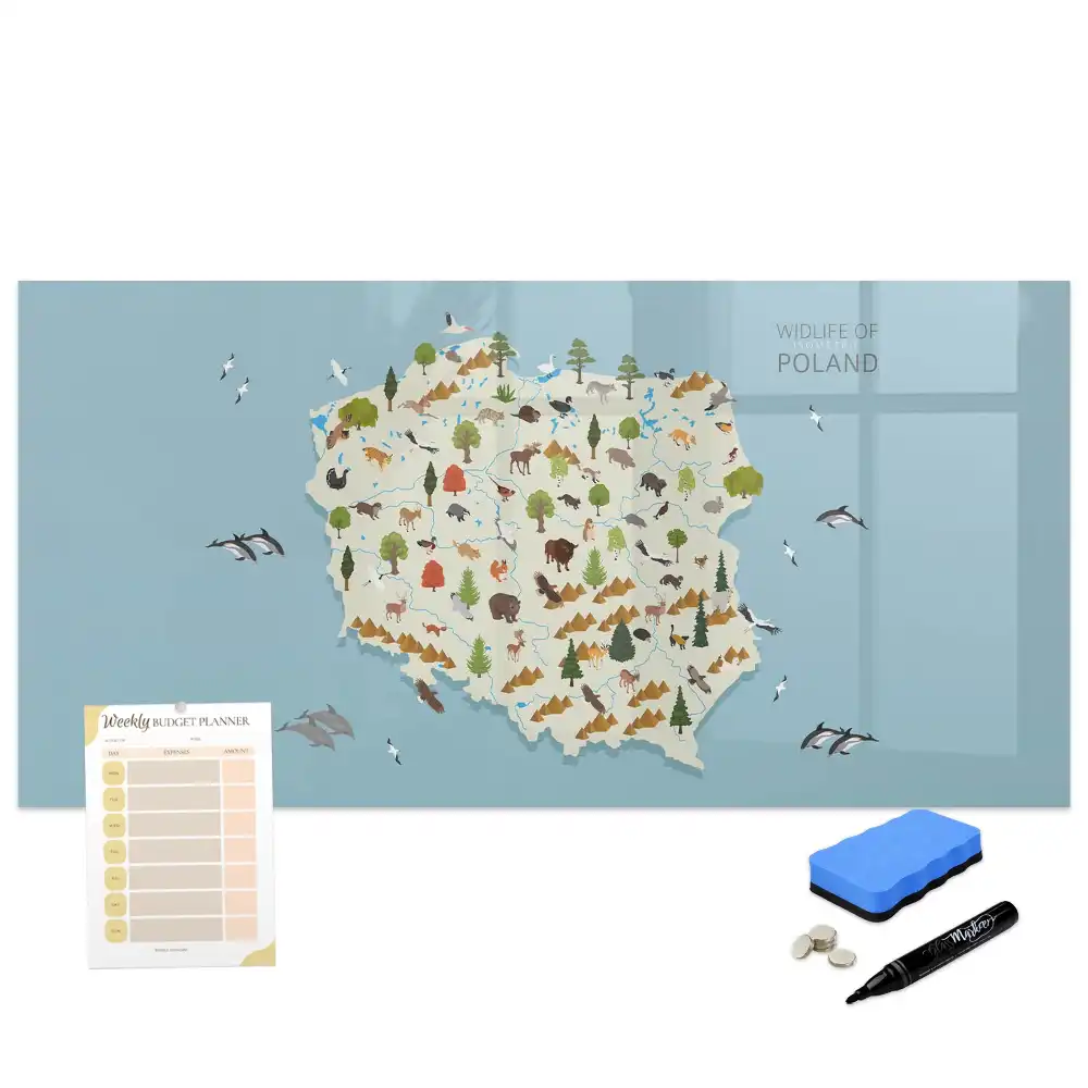 Tableau magnétique à dessiner illustré avec la carte de la Pologne et des animaux