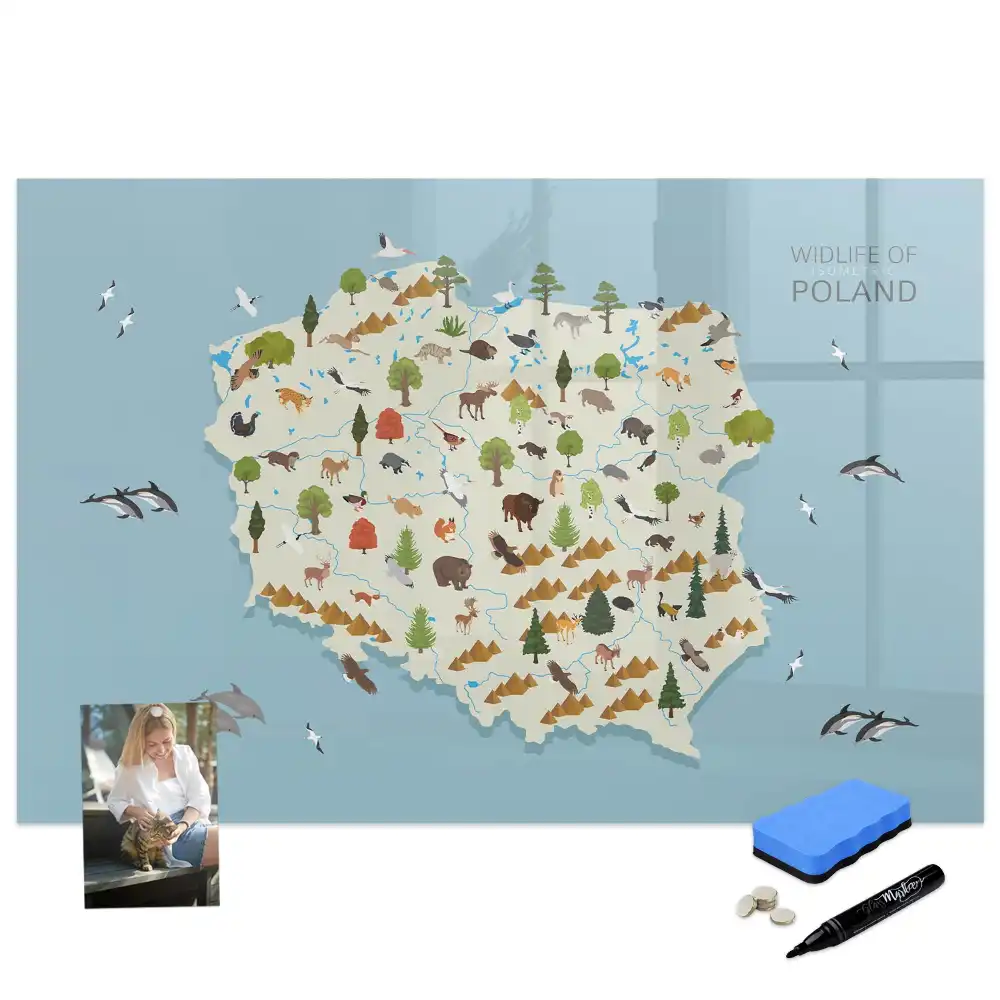 Tableau magnétique à dessiner illustré avec la carte de la Pologne et des animaux