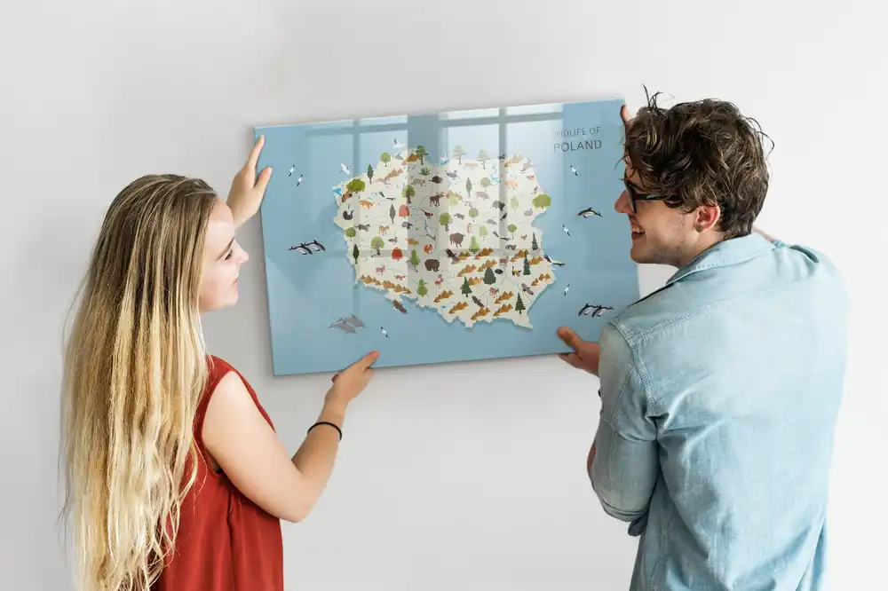 Tableau magnétique à dessiner illustré avec la carte de la Pologne et des animaux