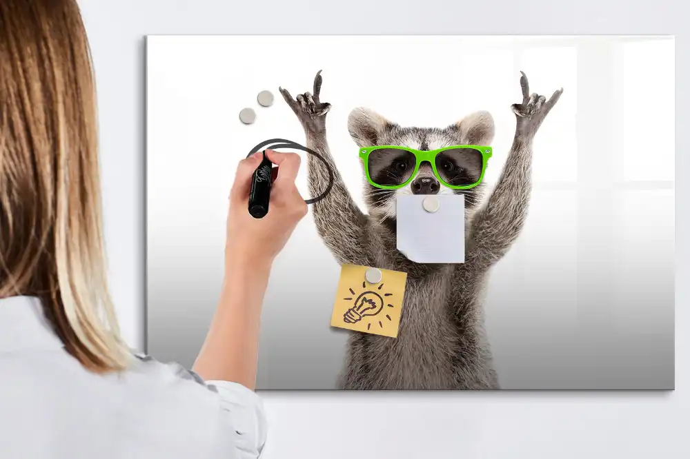 Tableau blanc magnétique effaçable à sec motif raton laveur avec lunettes