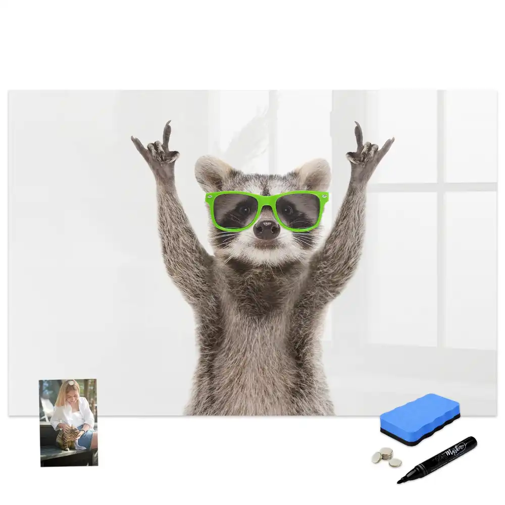 Tableau blanc magnétique effaçable à sec motif raton laveur avec lunettes