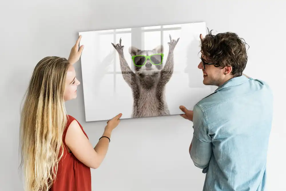 Tableau blanc magnétique effaçable à sec motif raton laveur avec lunettes