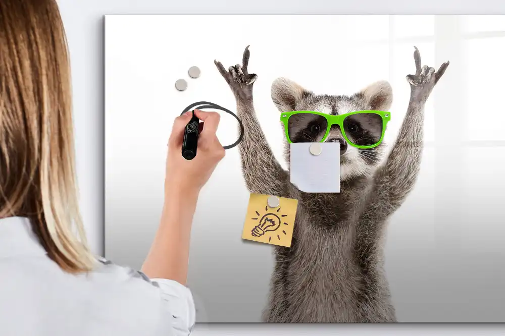 Tableau blanc magnétique effaçable à sec motif raton laveur avec lunettes