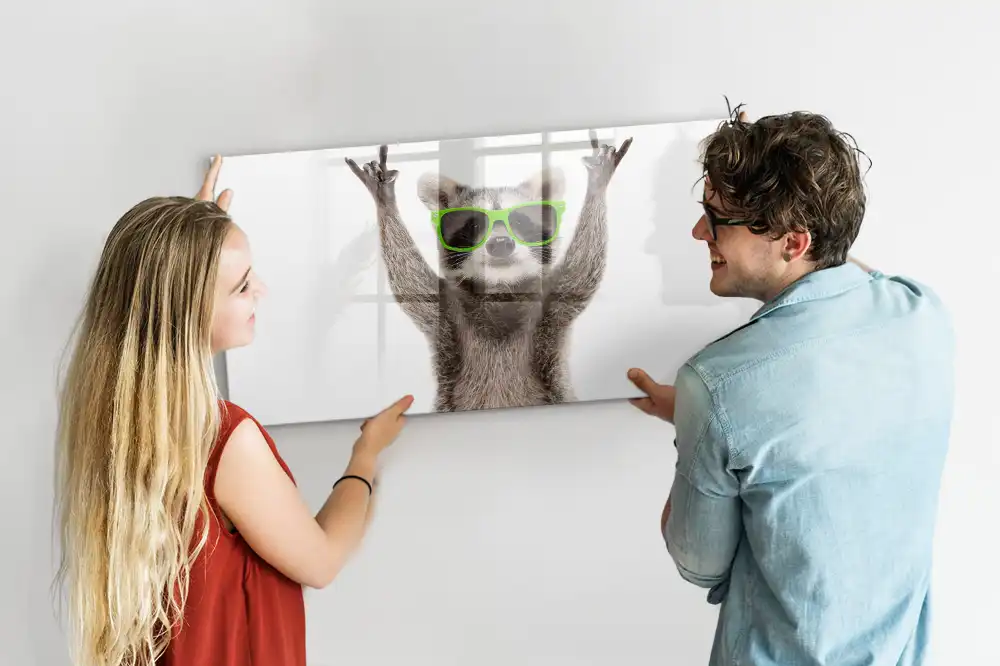 Tableau blanc magnétique effaçable à sec motif raton laveur avec lunettes