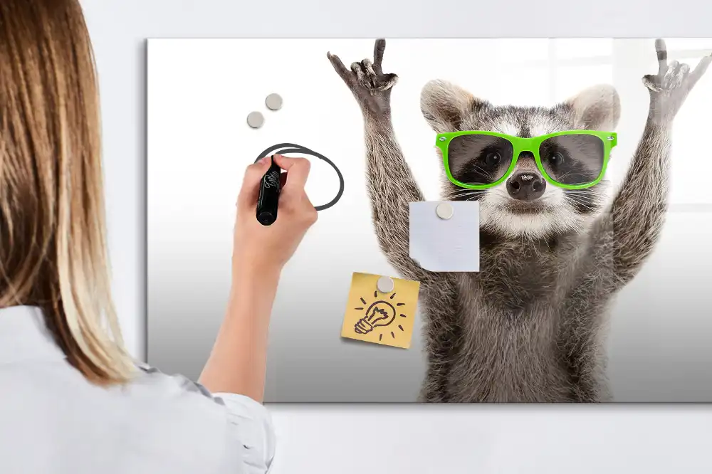 Tableau blanc magnétique effaçable à sec motif raton laveur avec lunettes