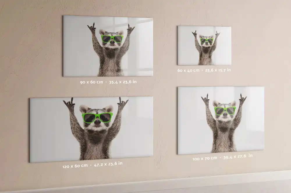 Tableau blanc magnétique effaçable à sec motif raton laveur avec lunettes