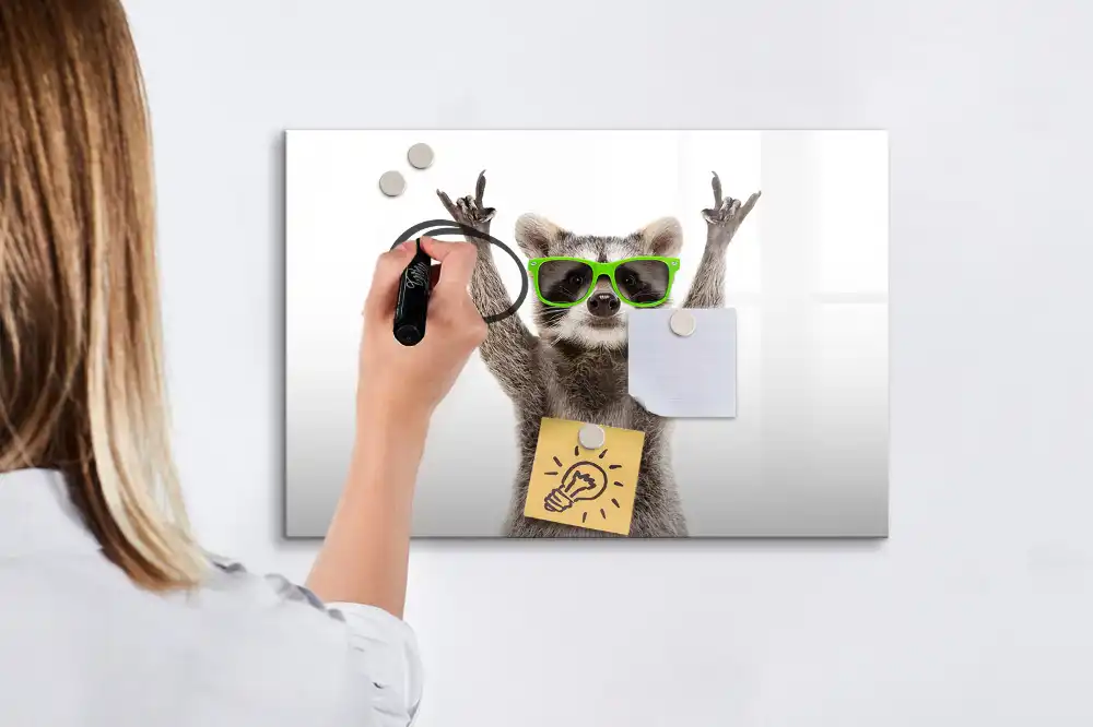 Tableau blanc magnétique effaçable à sec motif raton laveur avec lunettes