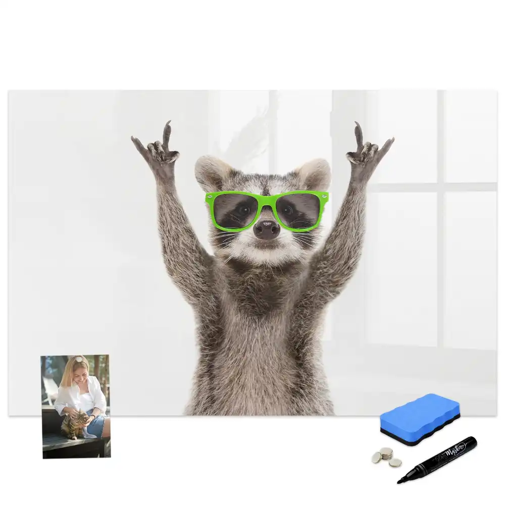 Tableau blanc magnétique effaçable à sec motif raton laveur avec lunettes