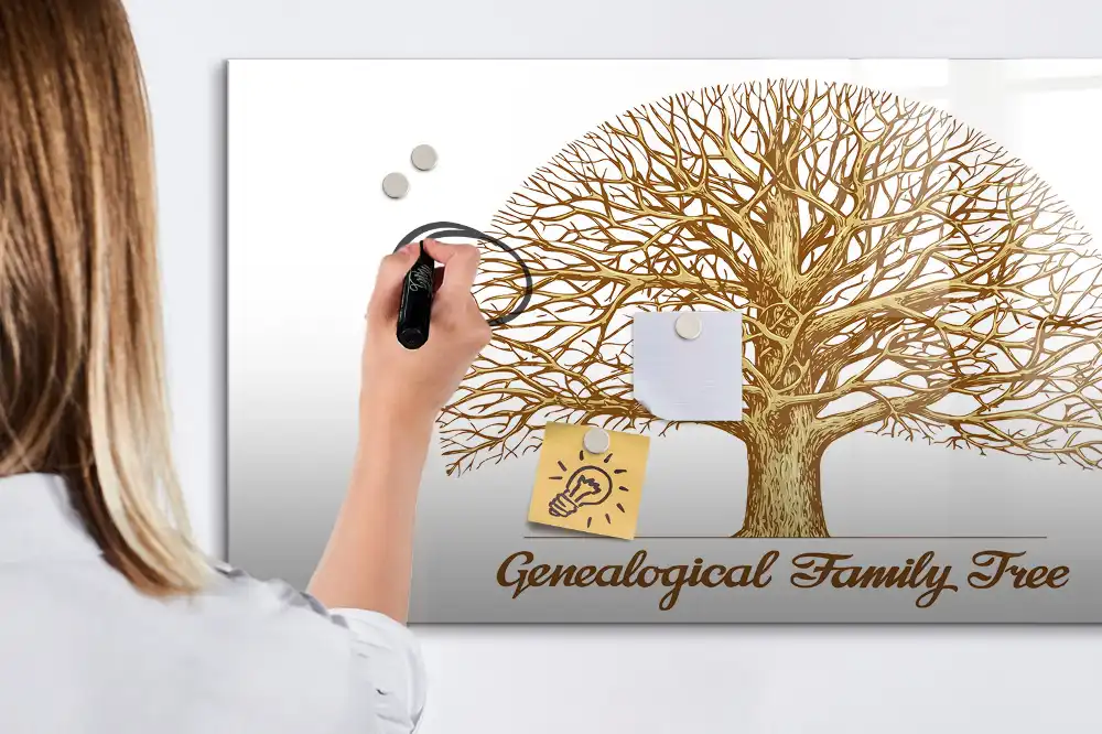 Tableau blanc magnétique effaçable à sec avec motif arbre généalogique multigénérationnel