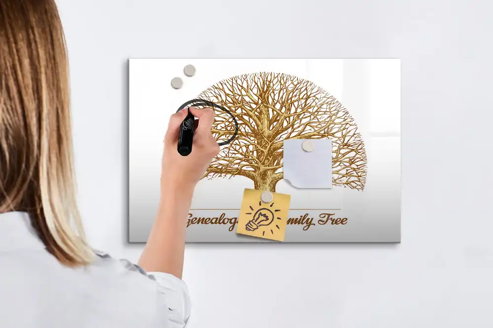 Tableau blanc magnétique effaçable à sec avec motif arbre généalogique multigénérationnel