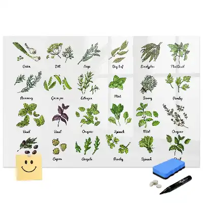 Tableau magnétique éducatif illustré sur les arbres