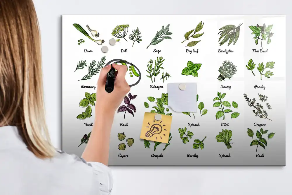 Tableau magnétique éducatif illustré sur les arbres