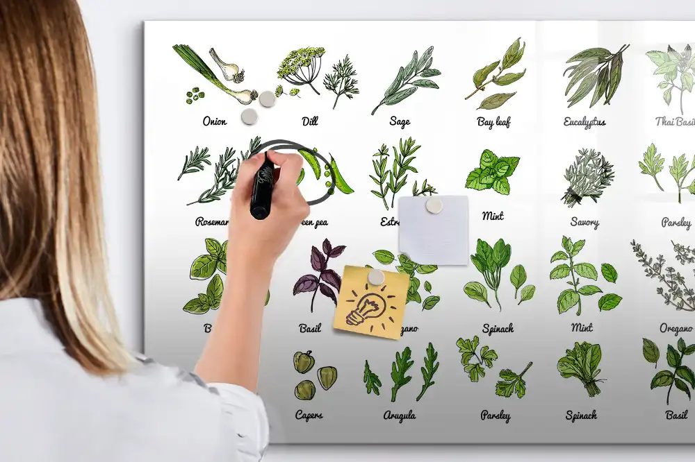 Tableau magnétique éducatif illustré sur les arbres