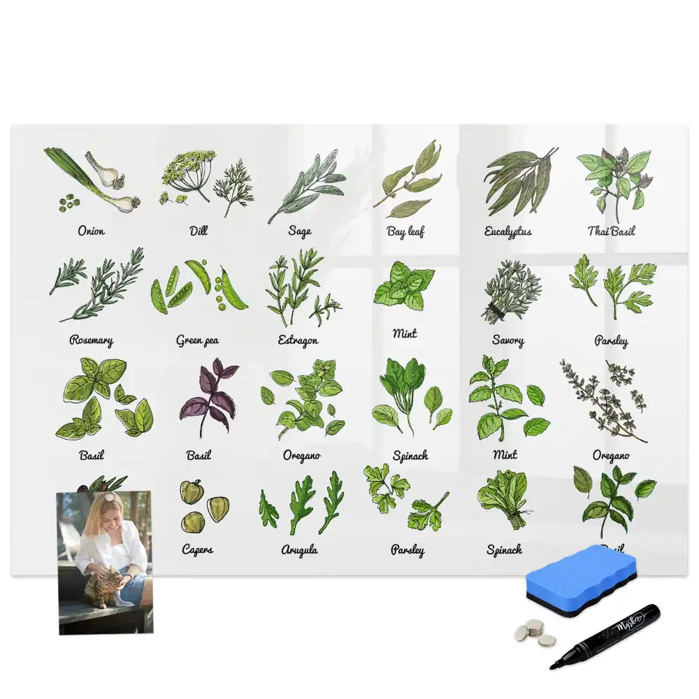 Tableau magnétique éducatif illustré sur les arbres