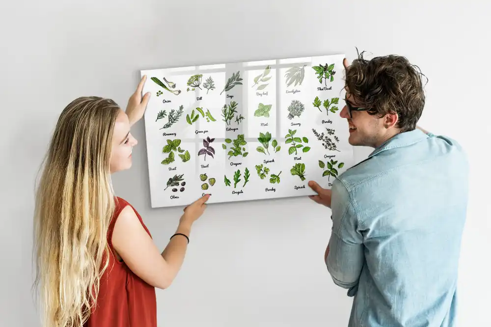 Tableau magnétique éducatif illustré sur les arbres