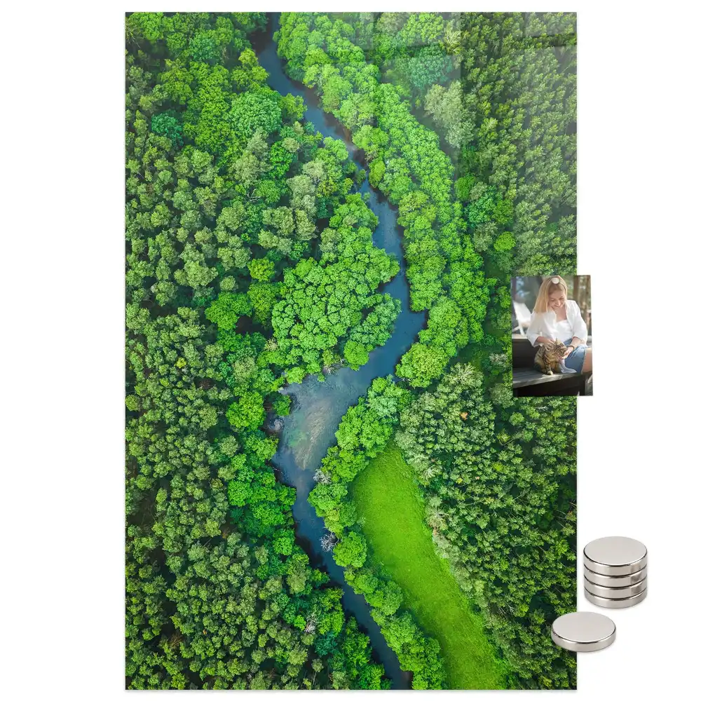 Tableau magnétique mural motif rivière forestière