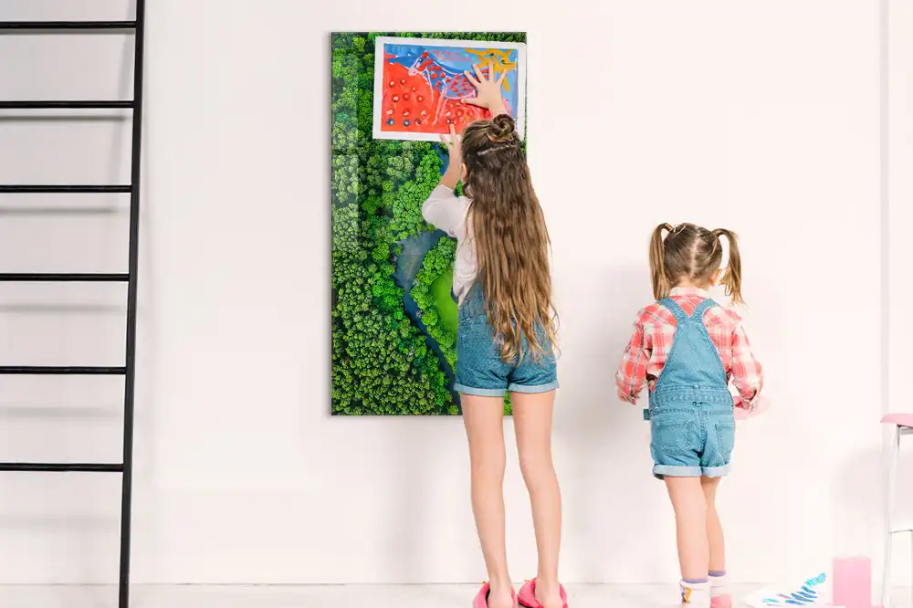 Tableau magnétique mural motif rivière forestière