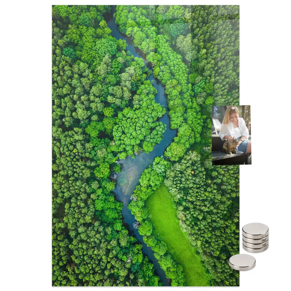 Tableau magnétique mural motif rivière forestière