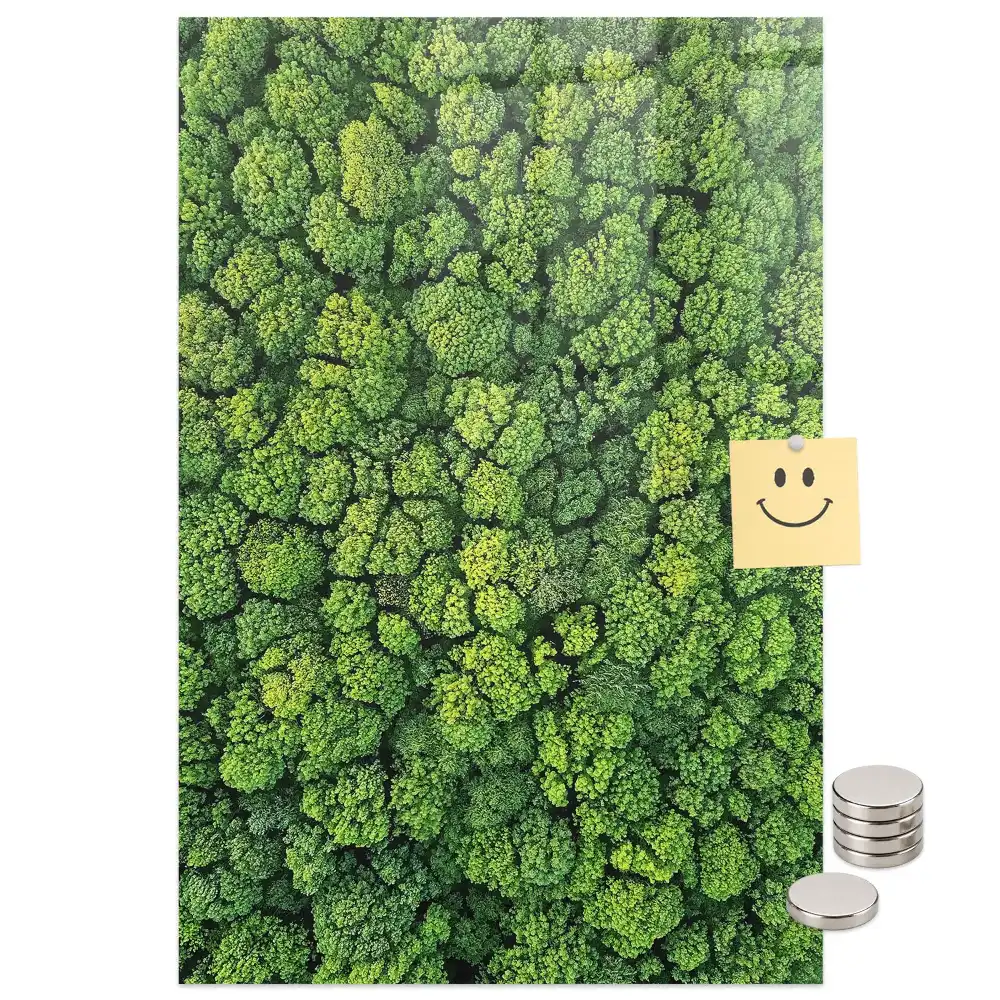 Tableau magnétique mural motif arbres forestiers