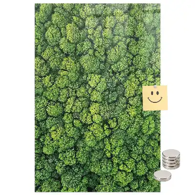 Tableau magnétique mural motif arbres forestiers