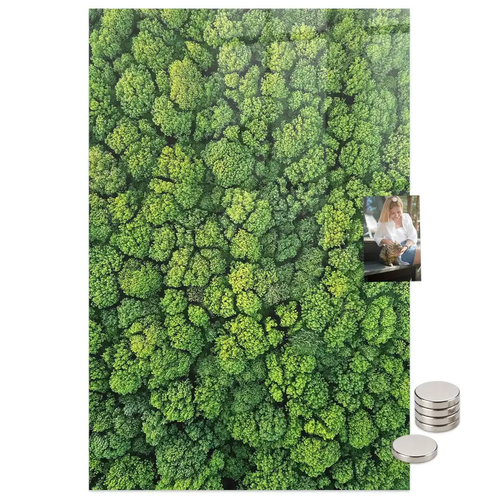 Tableau magnétique mural motif arbres forestiers
