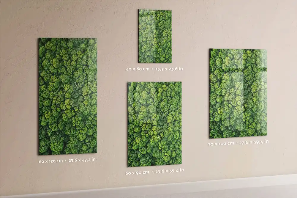 Tableau magnétique mural motif arbres forestiers