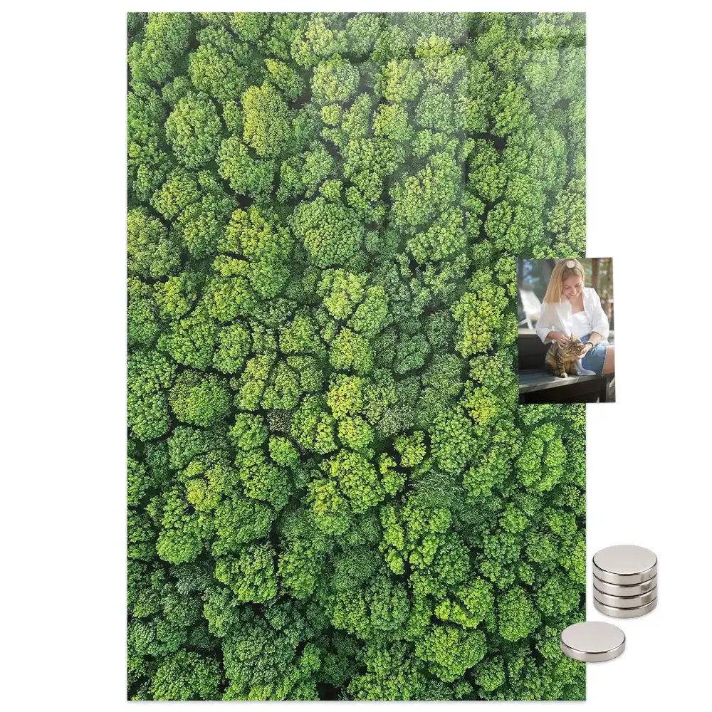 Tableau magnétique mural motif arbres forestiers