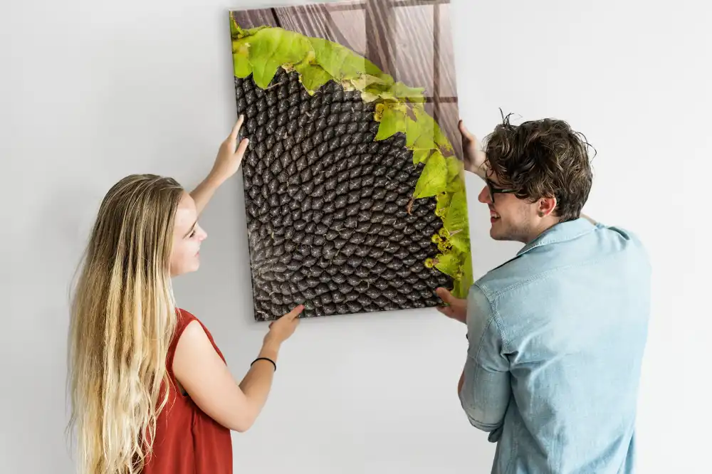 Tableau magnétique mural motif graines de tournesol