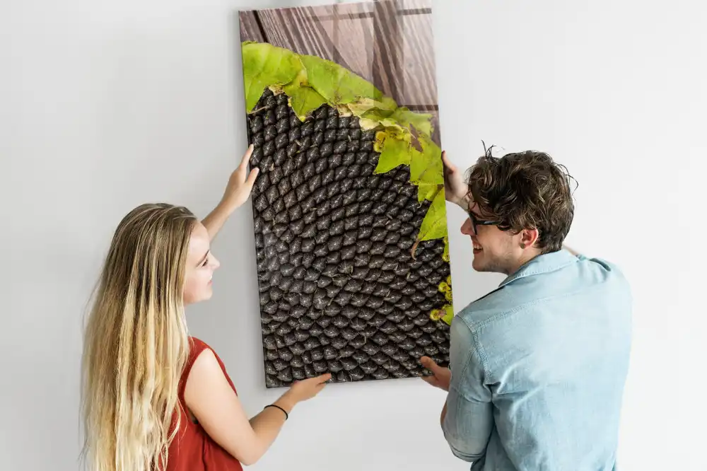 Tableau magnétique mural motif graines de tournesol