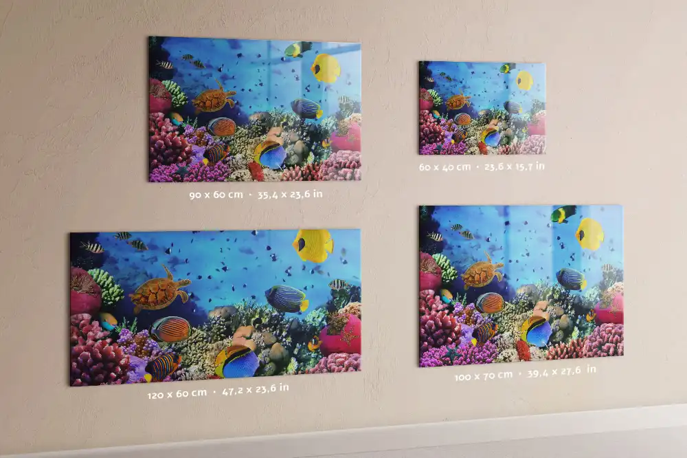 Tableau mural magnétique monde sous-marin