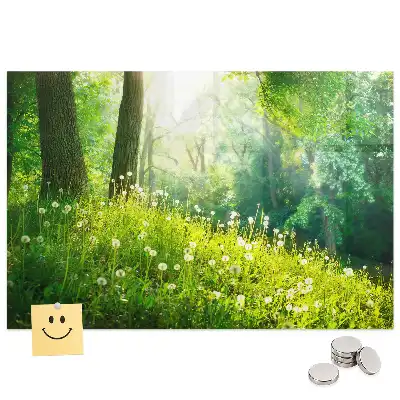 Tableau magnétique en verre motif nature printanière