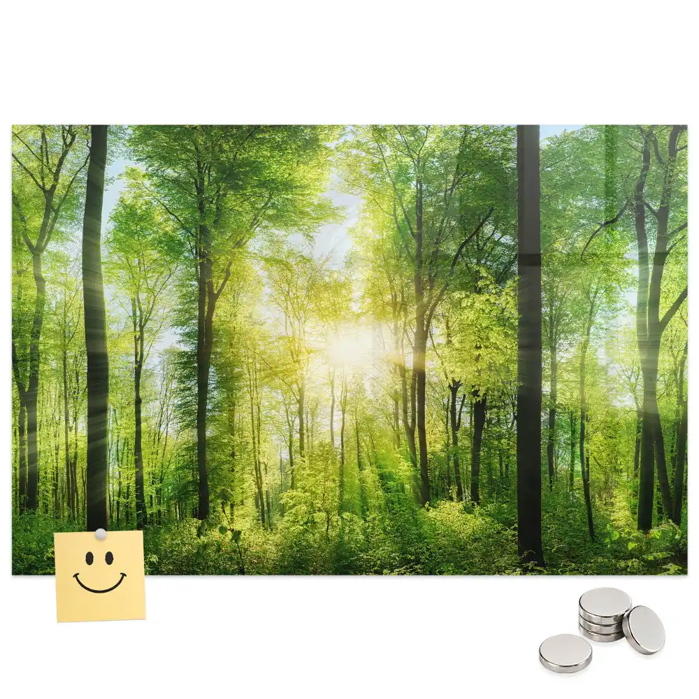 Tableau magnétique motif forêt